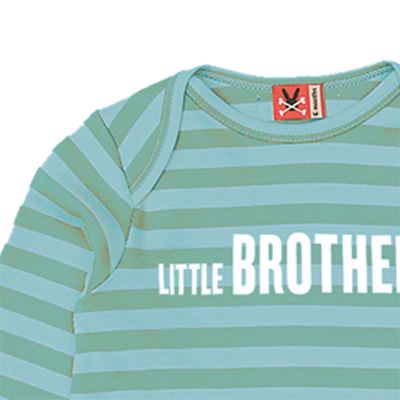 Little Brother - Lichen & Classic Blue